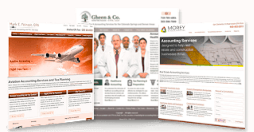 Niche Accounting Websites